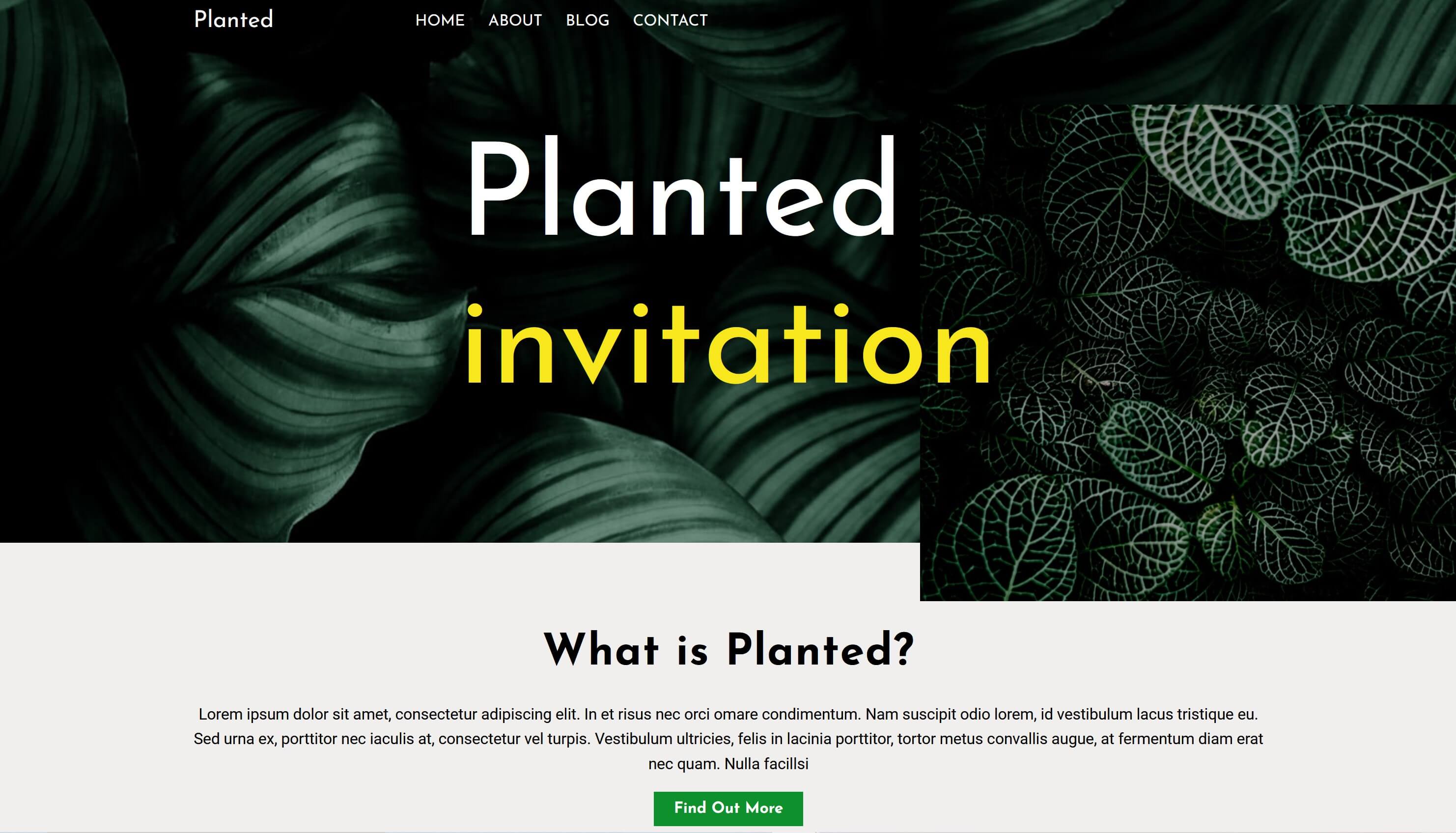 Planted screenshot